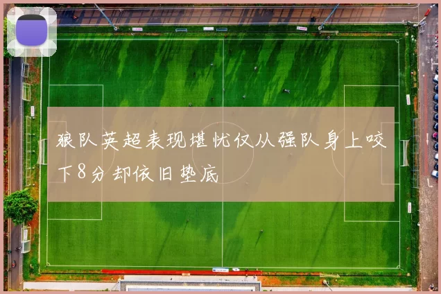狼队英超表现堪忧仅从强队身上咬下8分却依旧垫底
